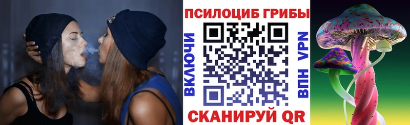 Псилоцибиновые грибы Psilocybine cubensis  где можно купить наркотик  Дальнегорск 