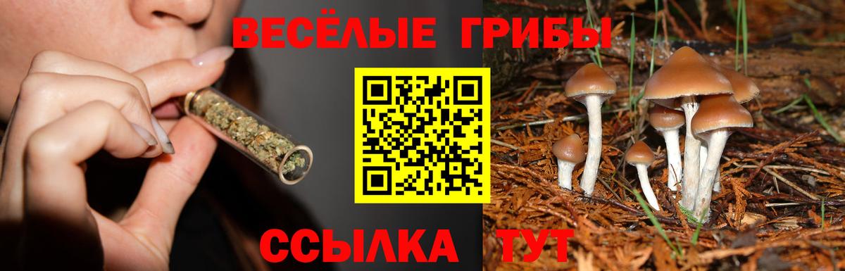 Дальнегорск  Галлюциногенные грибы мухоморы  Вход с VPN 